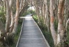 Picton NSWsustainable-landscaping-14.jpg; ?>